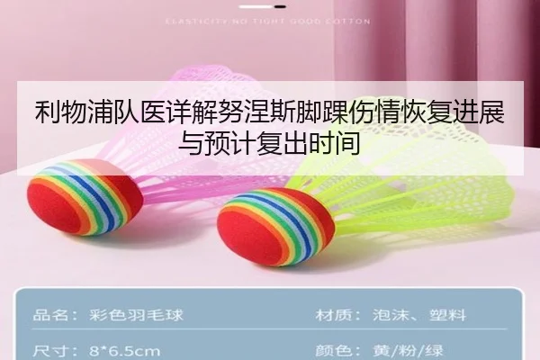 利物浦队医详解努涅斯脚踝伤情恢复进展与预计复出时间